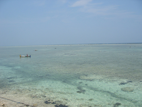 近岸