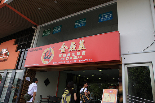 金燕盏