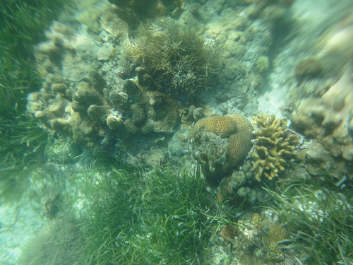 浮潜