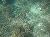 浮潜