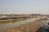 生蚝生长地